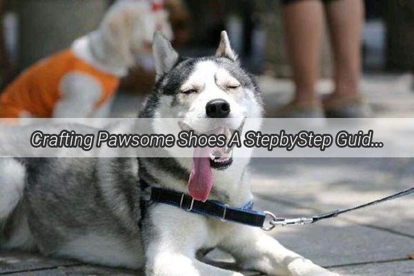 Crafting Pawsome Shoes A StepbyStep Guide to DIY Dog Sneakers